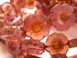 Preview: Flowers Blumen Rose Opal Picasso Glasperlen 2x