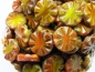 Preview: Chunky Coin Orange Yellow Mix Picasso Glasperlen 2x