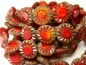 Preview: Sunflowers Blumen Red Orange Opal Picasso Glasperlen 2x